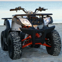 Запчастини для квадроциклів KAYO AU-180